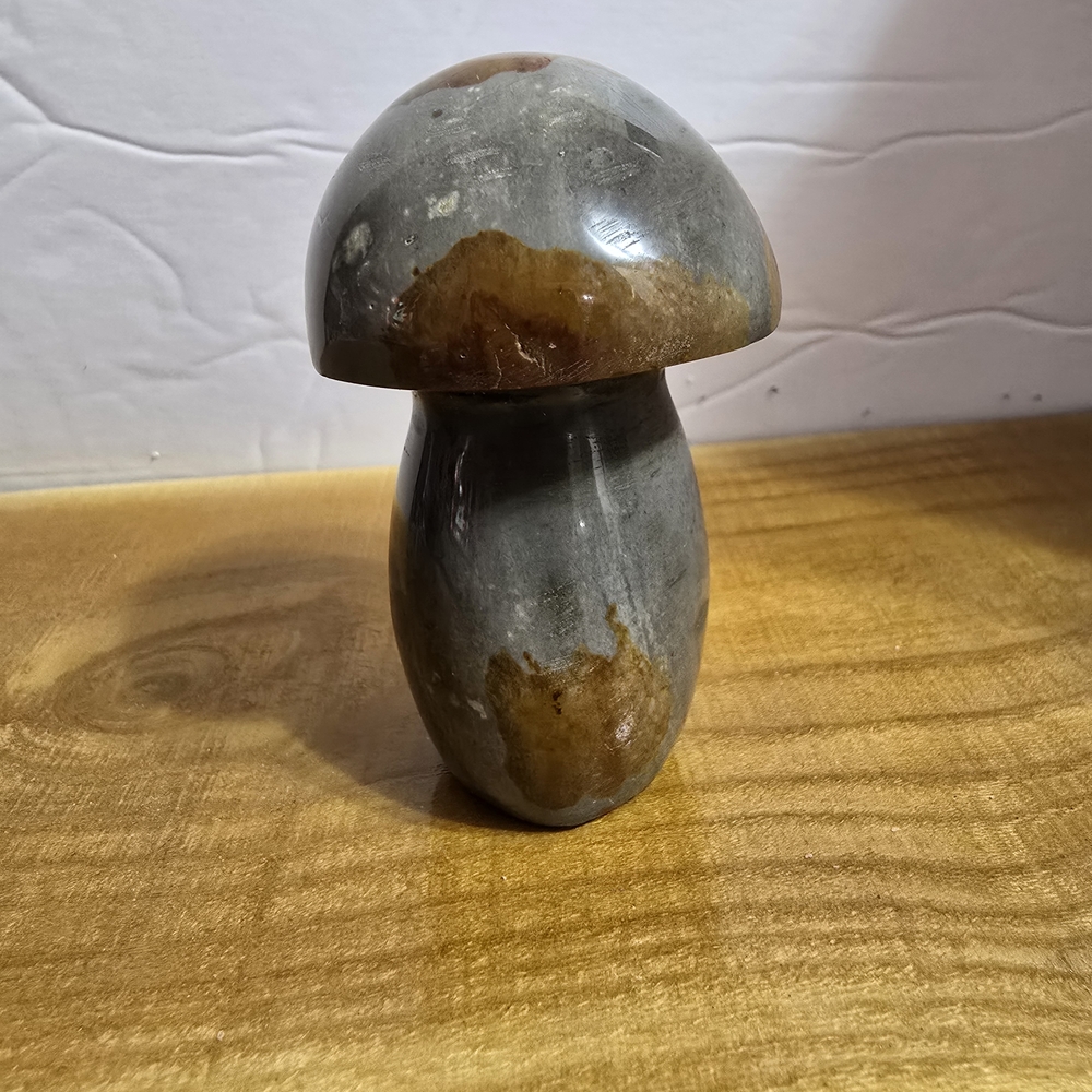 Mushroom OCEAN JASPER